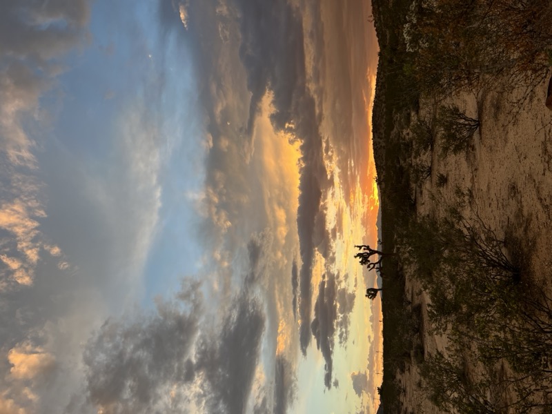 Sunset over a field